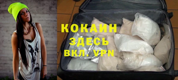дмт Инта