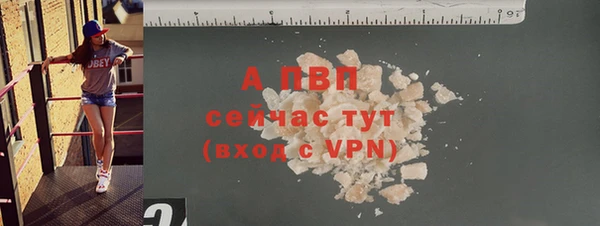 дмт Инта