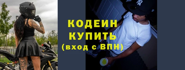 дмт Инта