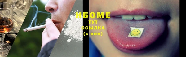 дмт Инта