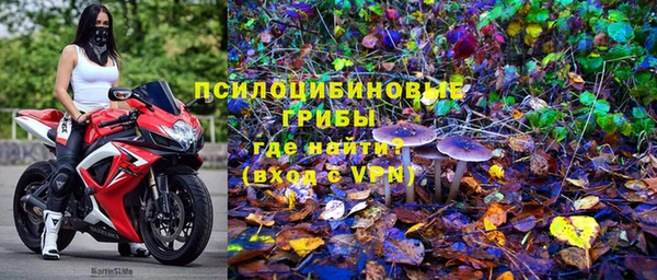 кокс Инсар
