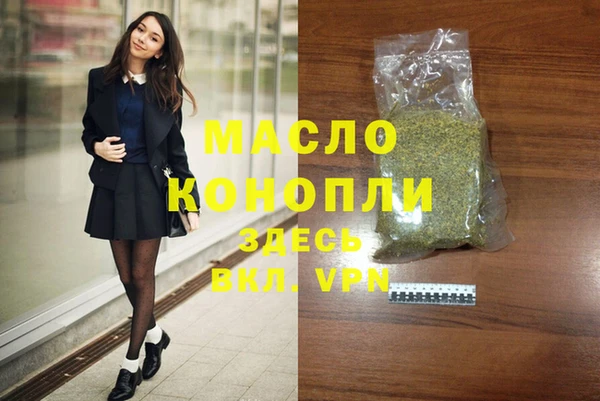 дмт Инта