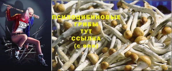 кокс Инсар