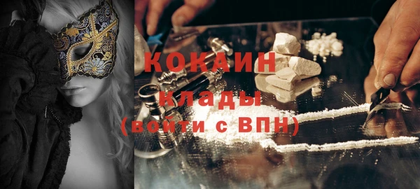 дмт Инта