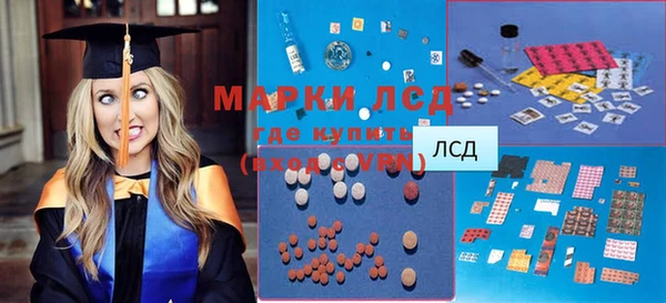дмт Инта
