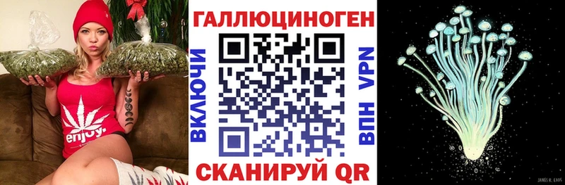 Купить где  Курильск  Псилоцибиновые грибы GOLDEN TEACHER 