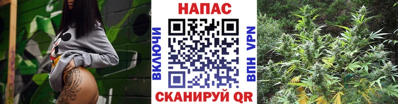 Конопля конопля  Купить где  Курильск 